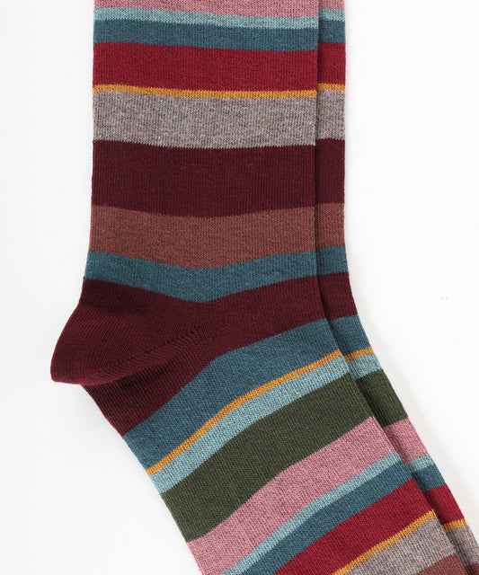 Calze GALLO calze righe multicolor Bordeau | GALLO Calze GALLO calze righe multicolor Bordeau | GALLO