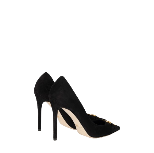 ELISABETTA FRANCHI Décolleté ELISABETTA FRANCHI in camoscio su tacco a stiletto.