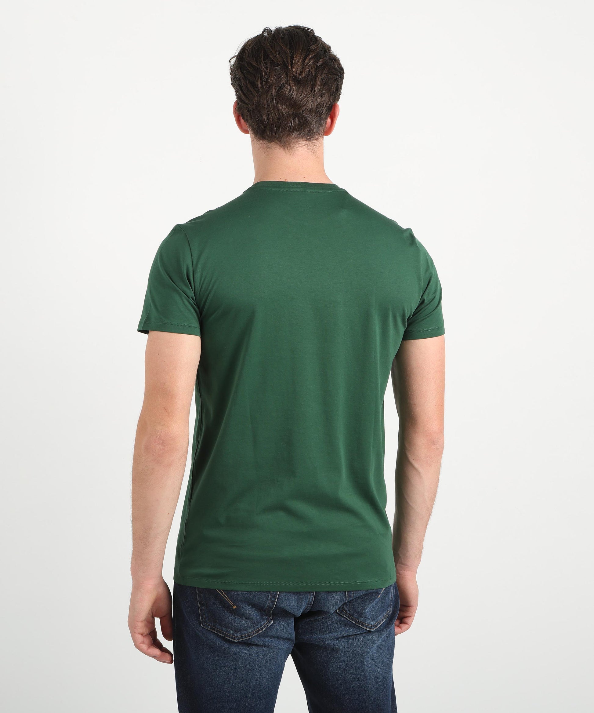 T-shirt LACOSTE t-shirt in cotone Verde | LACOSTE