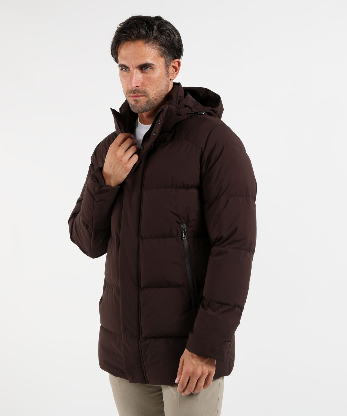 Puffer jackets PAUL&amp;SHARK Testa di moro | PAUL&SHARK