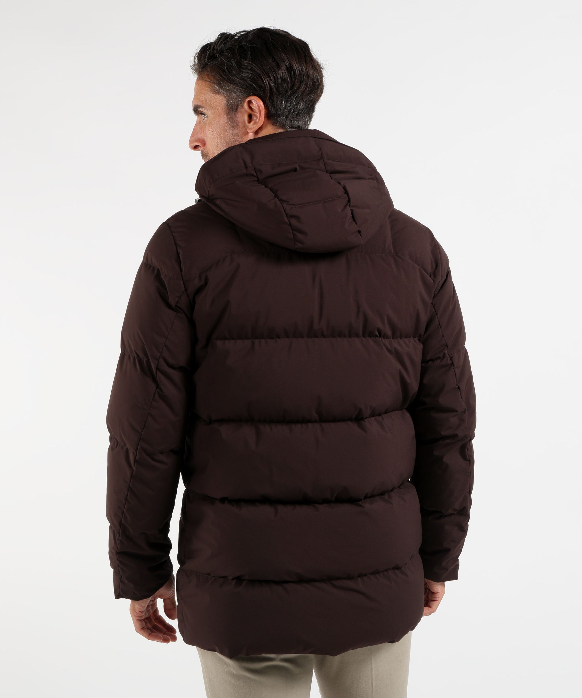 Puffer jackets PAUL&amp;SHARK Testa di moro | PAUL&SHARK