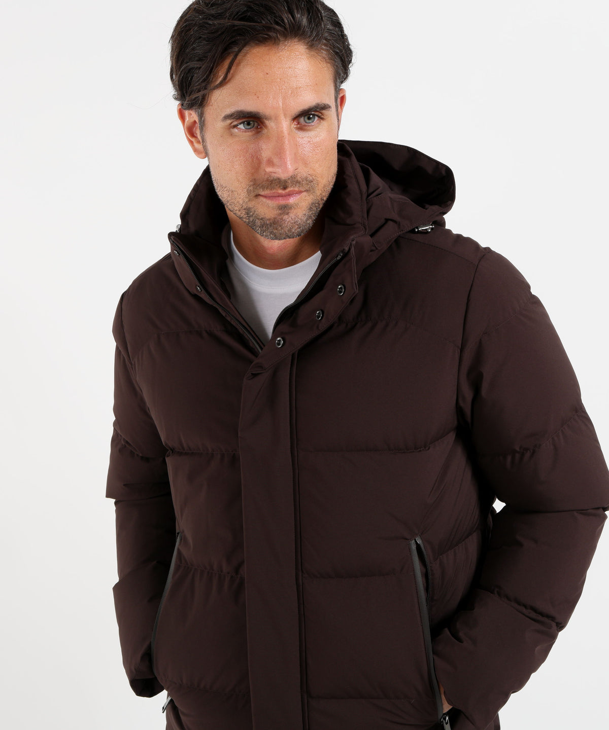 Puffer jackets PAUL&amp;SHARK Testa di moro | PAUL&SHARK