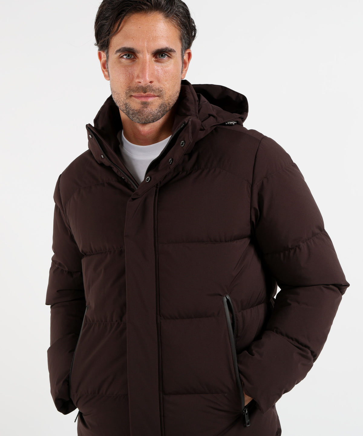 Puffer jackets PAUL&amp;SHARK Testa di moro | PAUL&SHARK