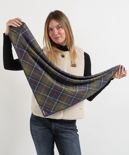 Scarves BARBOUR Kinsale Tartan Scarf Tartan | BARBOUR