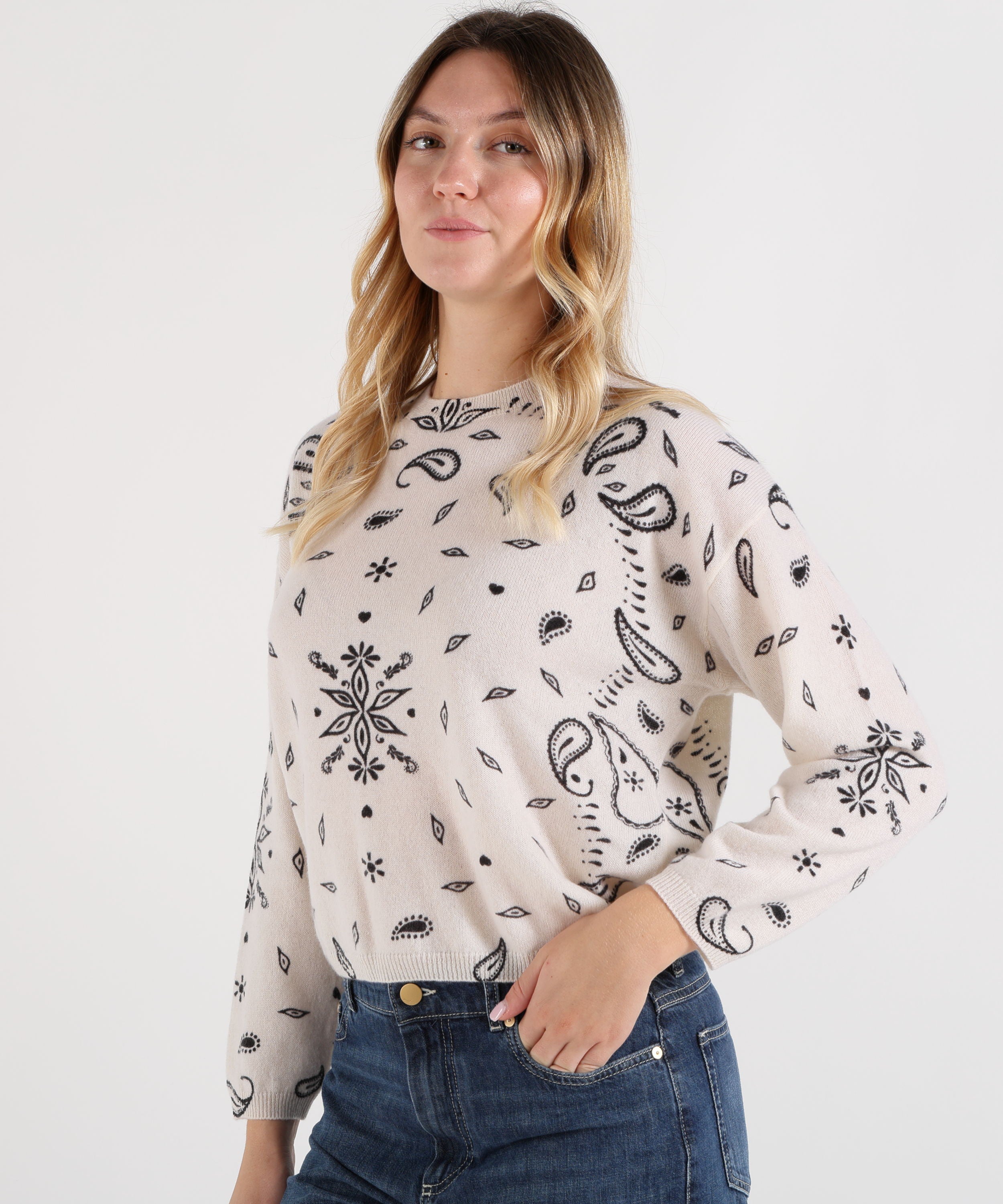 Maglie ABSOLUT CASHMERE pull ariane print
Maglione girocollo in cashmere Avorio | ABSOLUT CASHMERE