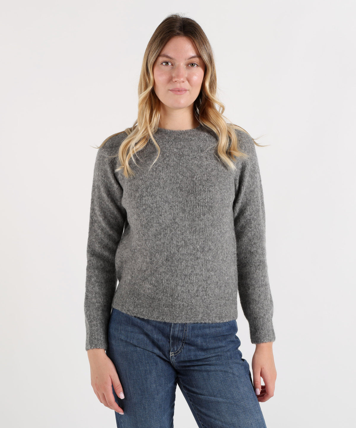Pullovers ABSOLUT CASHMERE Grigio | ABSOLUT CASHMERE